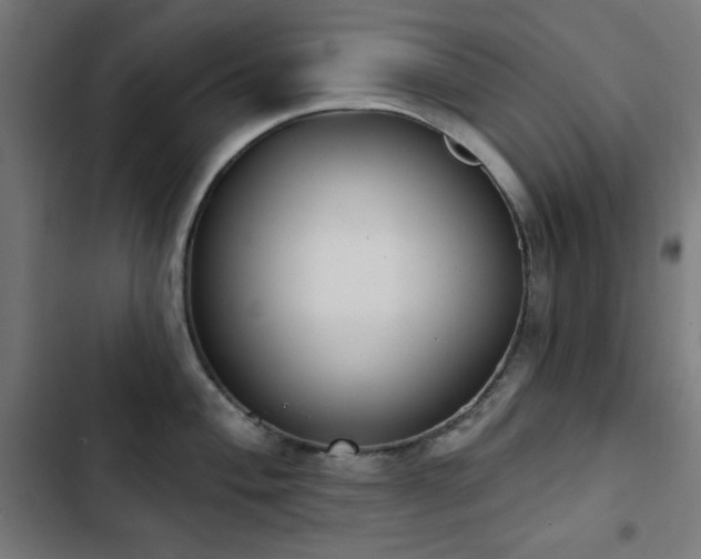 X0000103441004200809121359