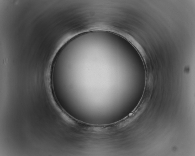 X0000103441005200809121359