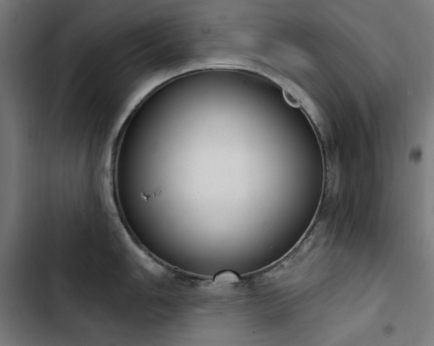 X0000103441006200809121359