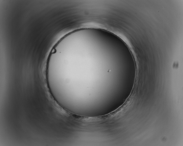X0000103441008200809121359