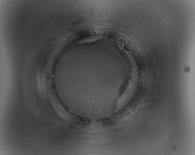 X0000103441009200809121358