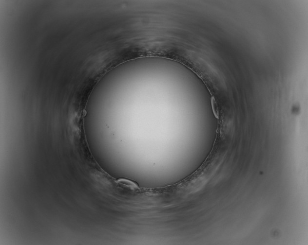X0000103441010200809121358