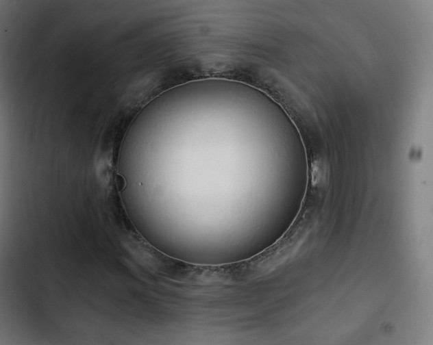 X0000103441011200809121358