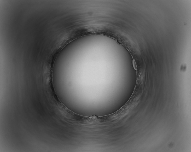 X0000103441012200809121358