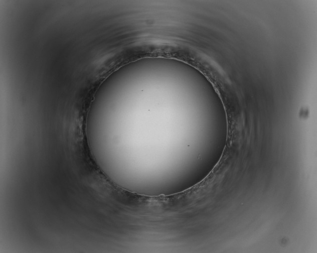 X0000103441013200809121358