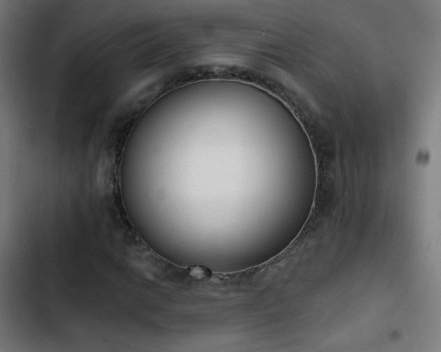 X0000103441014200809121358