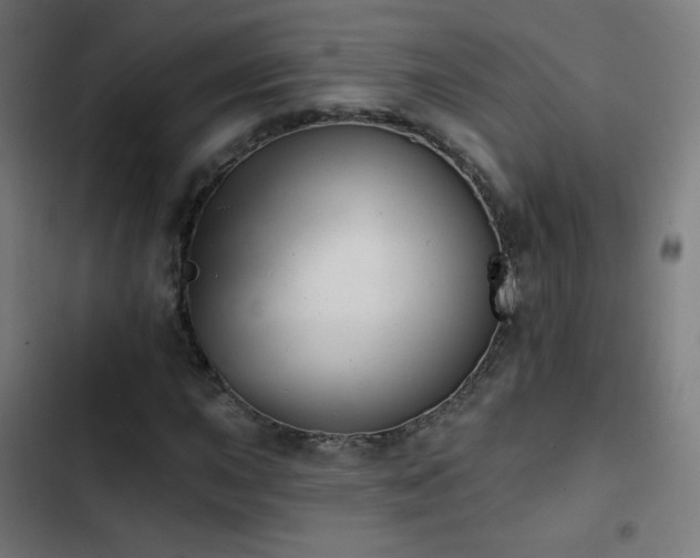 X0000103441015200809121358