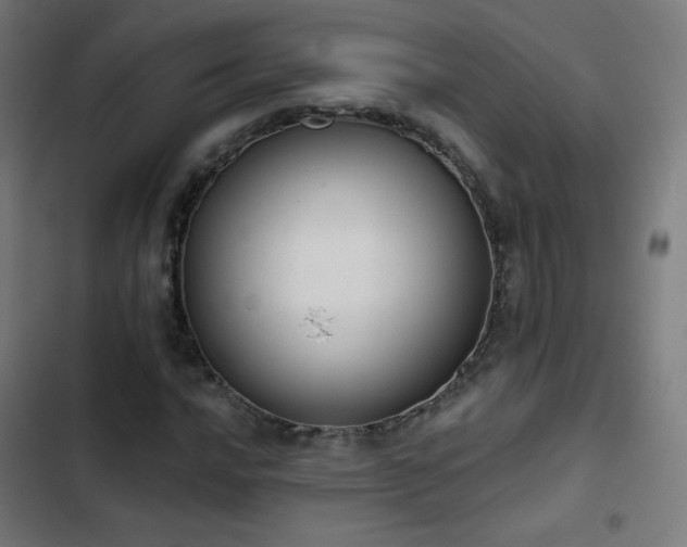 X0000103441016200809121358