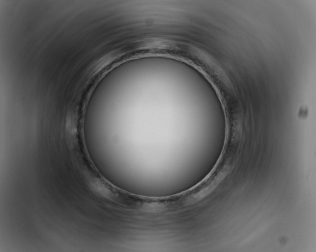 X0000103441017200809121358
