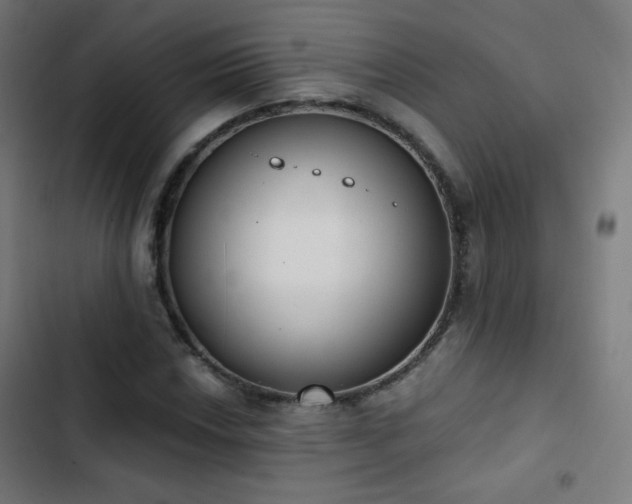 X0000103441018200809121358