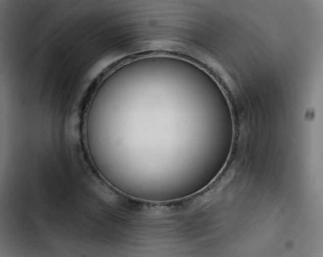 X0000103441019200809121358