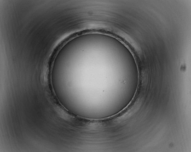 X0000103441021200809121358