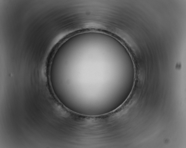 X0000103441022200809121358