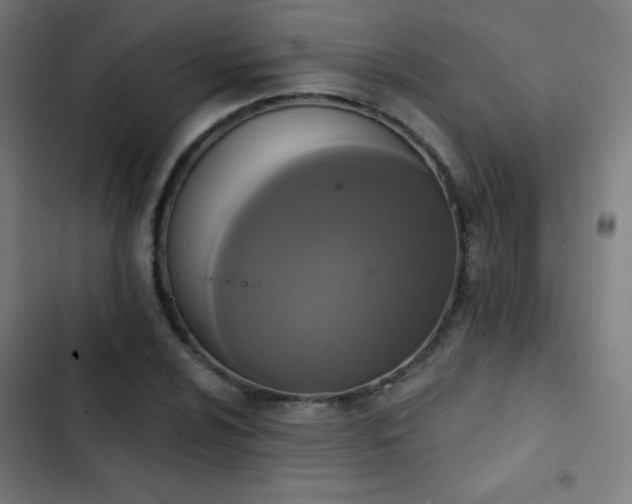X0000103441024200809121358
