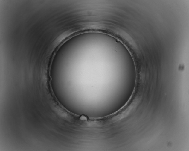 X0000103441025200809121358