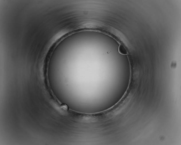 X0000103441026200809121358