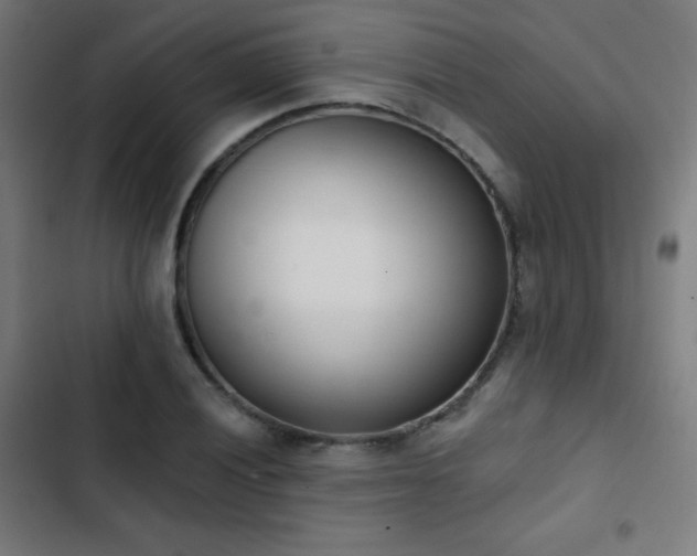 X0000103441028200809121358
