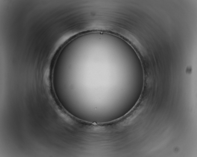 X0000103441030200809121358