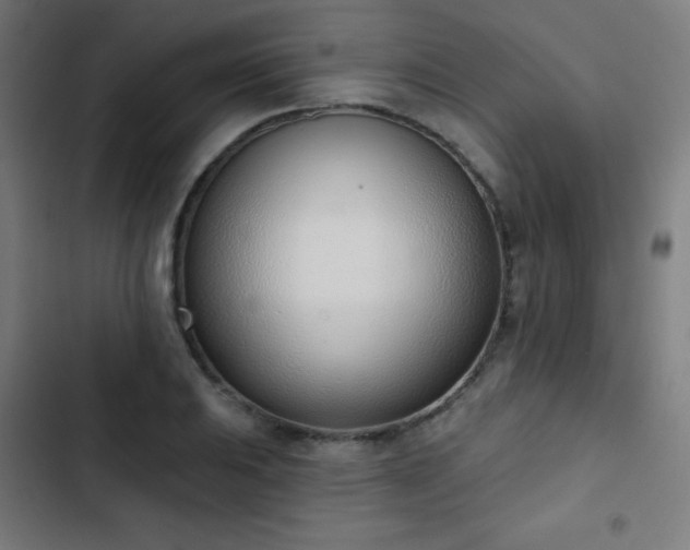 X0000103441031200809121358