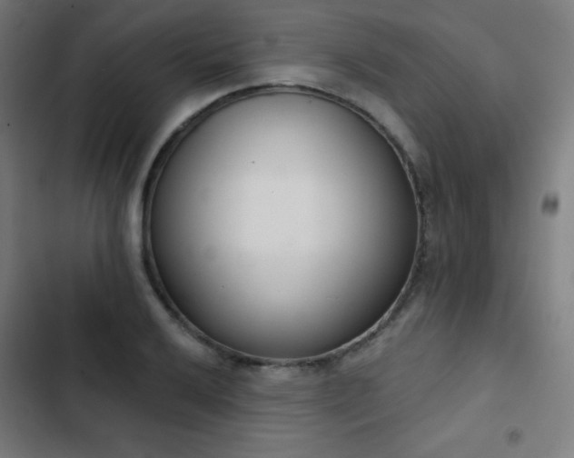 X0000103441032200809121358