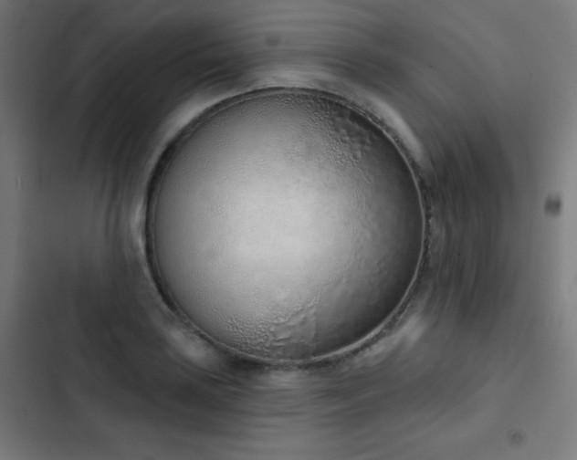 X0000103441035200809121358