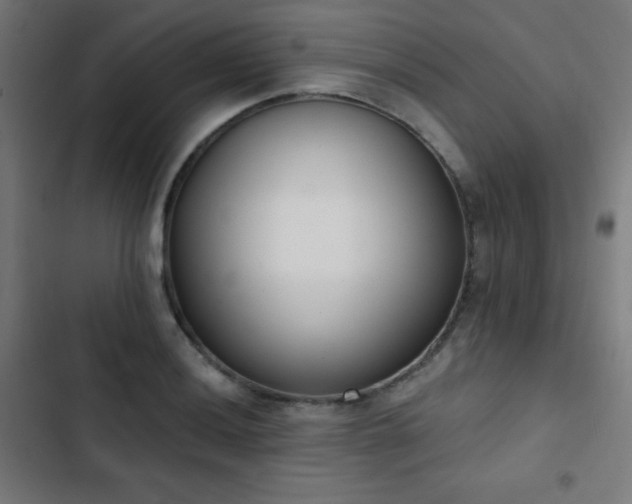 X0000103441036200809121358