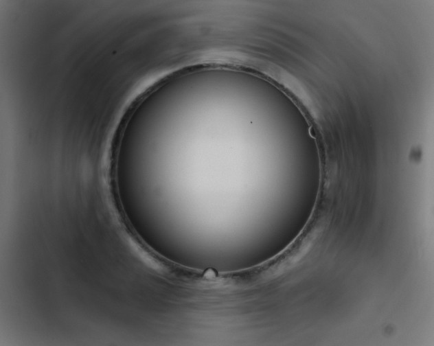 X0000103441037200809121358