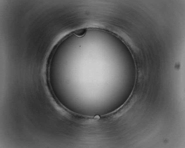 X0000103441038200809121358