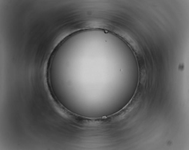 X0000103441039200809121358