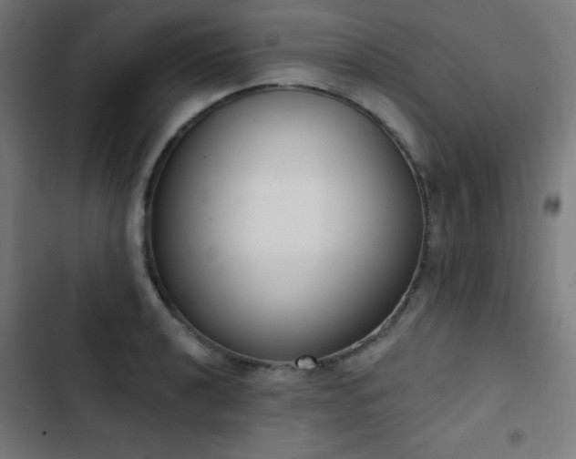 X0000103441040200809121358