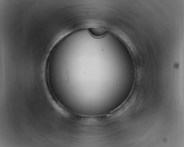 X0000103441042200809121358