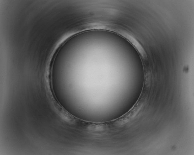 X0000103441051200809121359