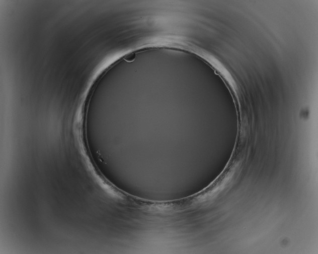 X0000103441053200809121359