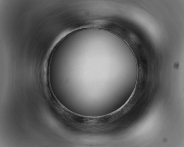 X0000103441054200809121359