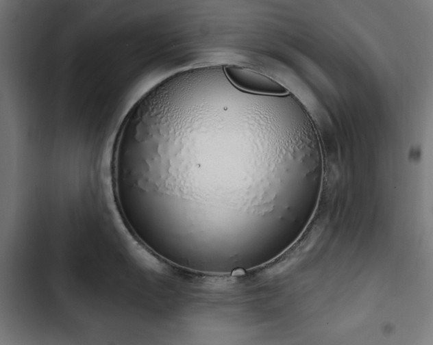 X0000103441055200809121359