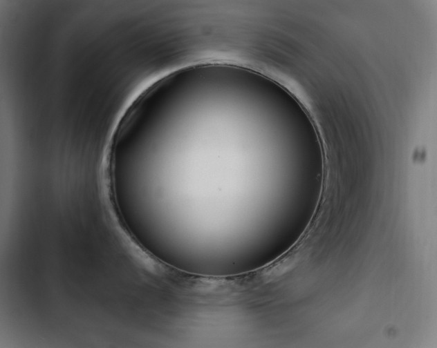 X0000103441056200809121359