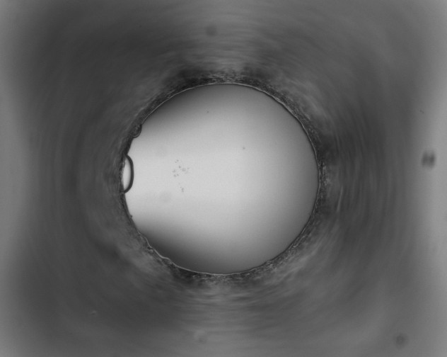 X0000103441057200809121358