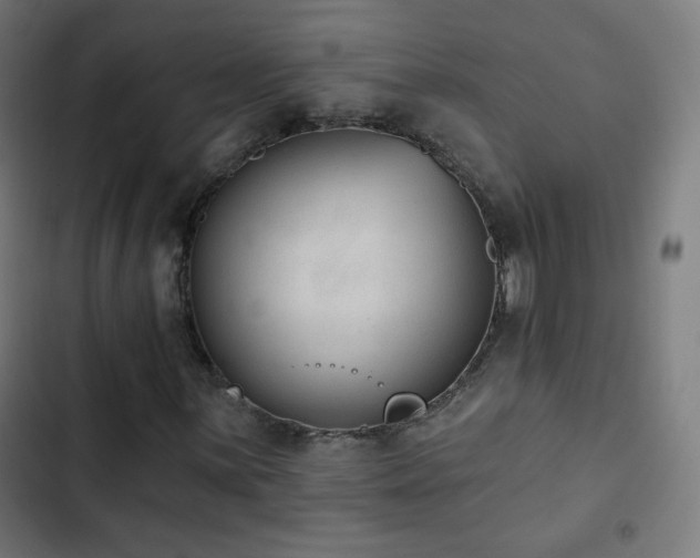 X0000103441059200809121358