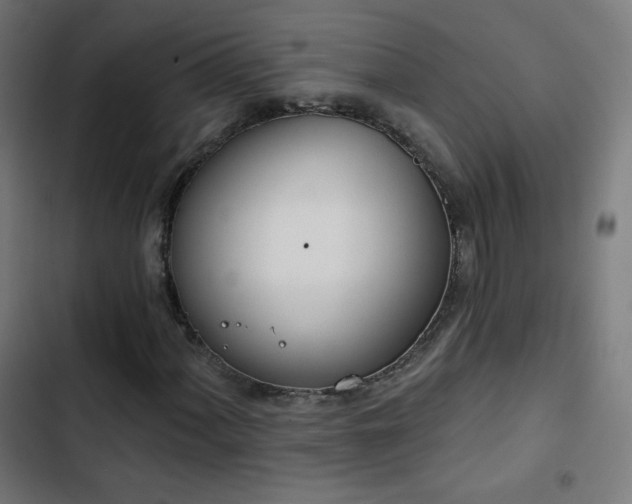 X0000103441060200809121358