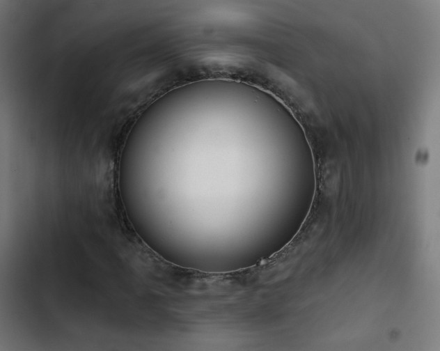 X0000103441061200809121358