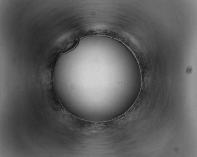 X0000103441062200809121358