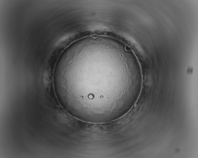 X0000103441063200809121358