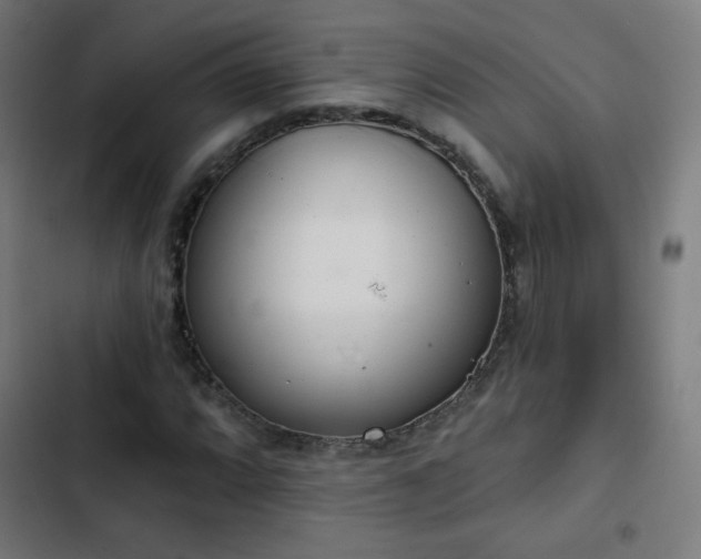 X0000103441064200809121358
