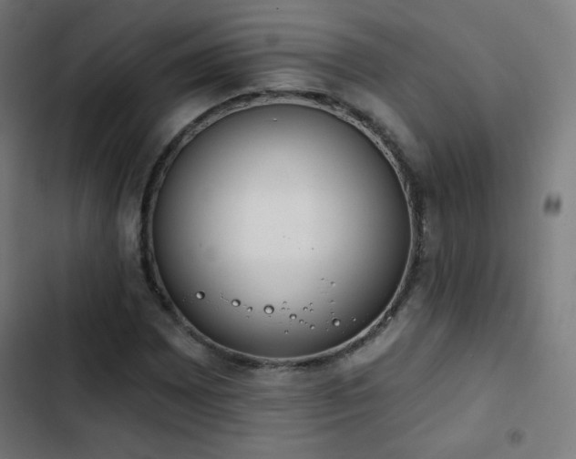 X0000103441065200809121358
