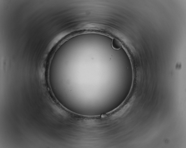 X0000103441066200809121358