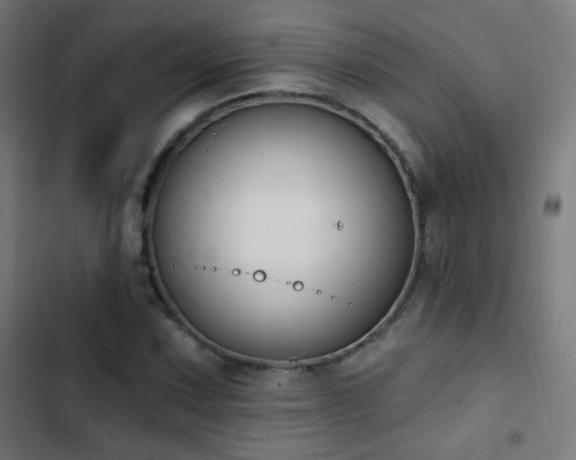 X0000103441067200809121358