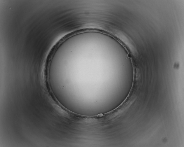X0000103441068200809121358