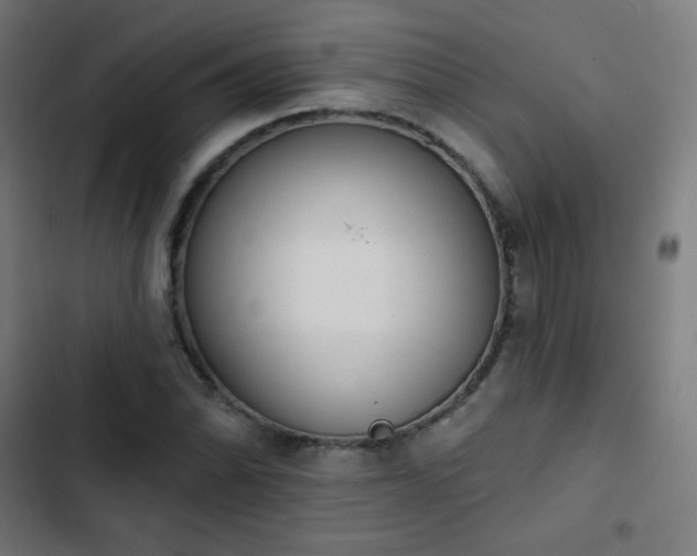 X0000103441070200809121358