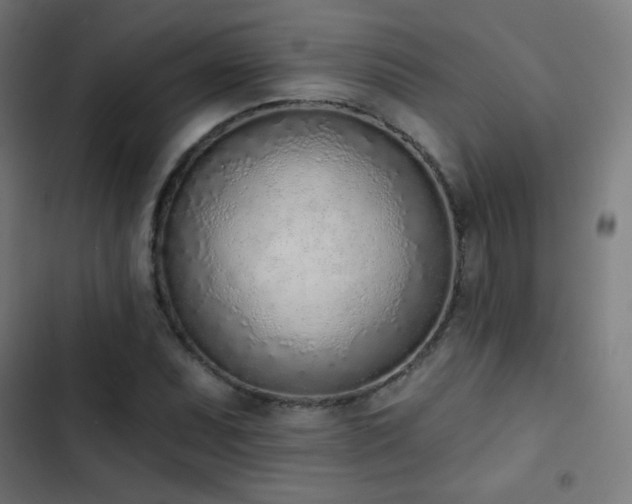 X0000103441071200809121358