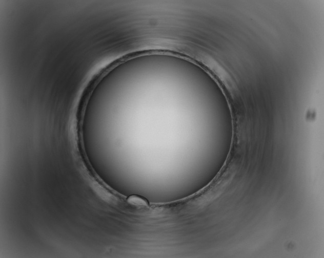 X0000103441072200809121358